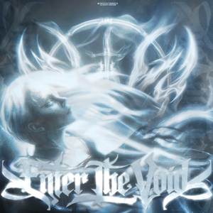 ENTER THE VOID