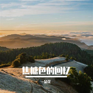 焦糖色的回忆