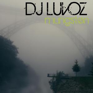 Mungsten (Original Mix)