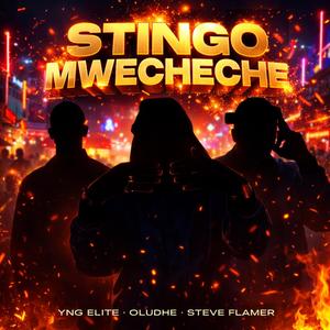 Stingo Mwecheche.