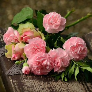 ＂薄荷＂Gunna/吉他/连麻/Trap Type Beat