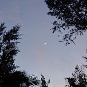 第三人称浪漫