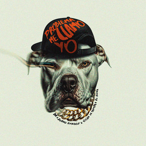 Problema Me Llamo Yo