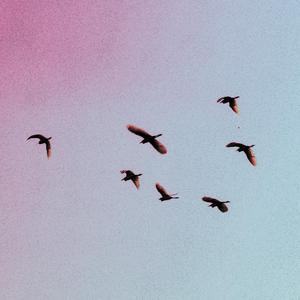 En el Mar (feat. Aura Sofia)