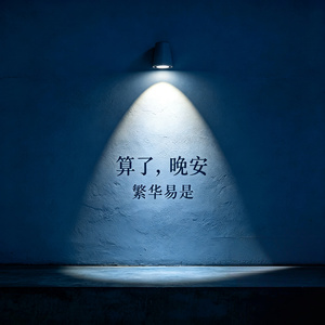算了，晚安