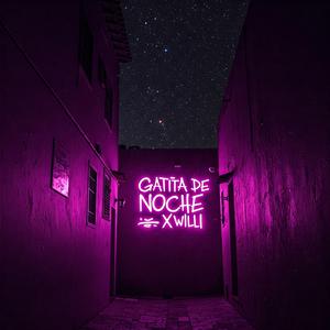 Gatita de Noche x Willi