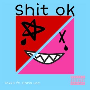 Shit ok (feat. Chris Lee)
