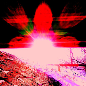 Директор