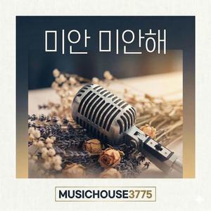 미안 미안해