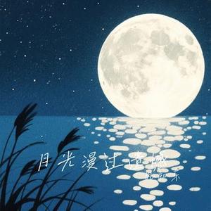 月光漫过遗憾