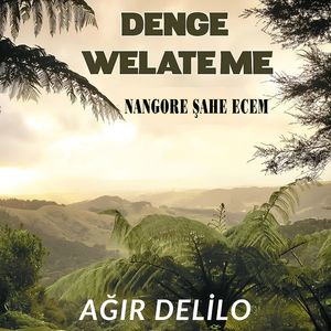 Ağır Delilo