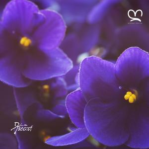 With You (feat. Kitoko Sound, Din BEATS, Kanda Beats & Arándano)