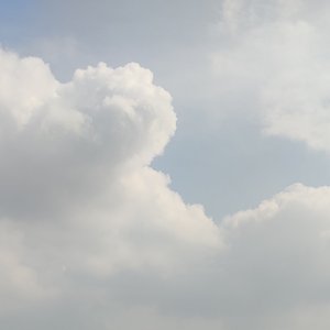 我想牵着你的手