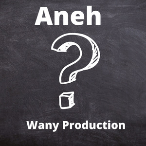 Aneh