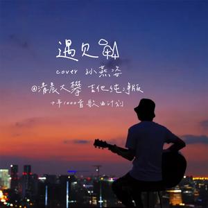 遇见（治愈纯净版）