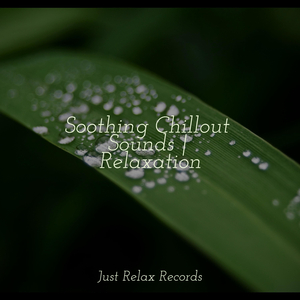 Slumberous Mist Melody