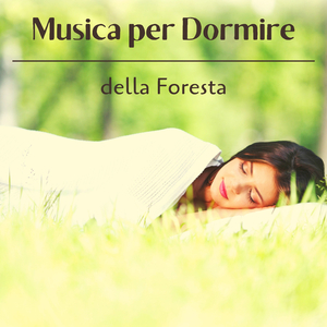 Addormentarsi velocemente