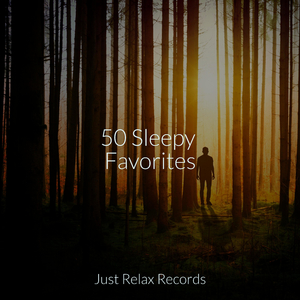 Journey Through Still Seas