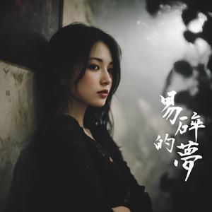 易碎的夢