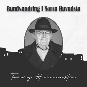 Rundvandring i Norra Huvudsta