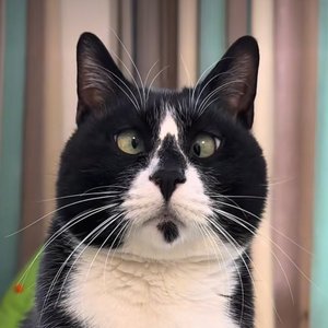 不完美的完美.wav