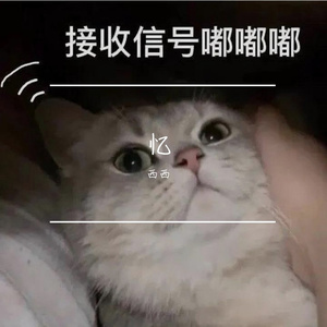 尝试温柔