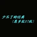 少不了的经典 (原乡鼓DJ版)
