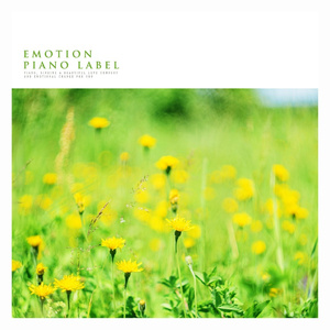 투명한 시냇물 (Nature Ver.)