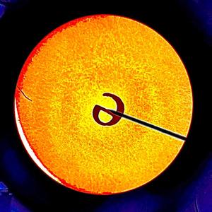 Picnic With The Dead