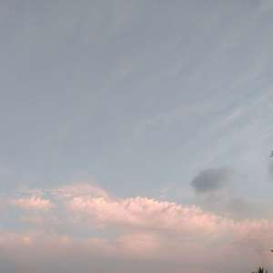 一首情歌（翻自 庞宁）