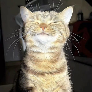 遇见你后的雨天，都有人为我撑伞