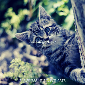 Music (Kittens)