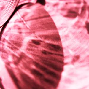 Unohdin skuutin kaikun pihaan ja menetin mun luottotiedot