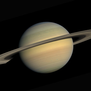 你的自由在远方