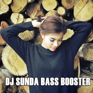 Dj Basisir Carita
