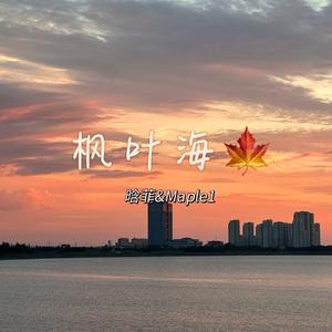 枫叶海