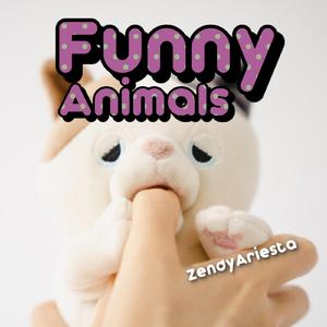 Funny Animals