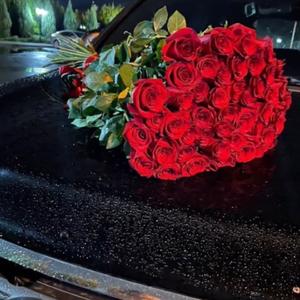 AnwaR•-Lala Gulim（小麦RMX remix）