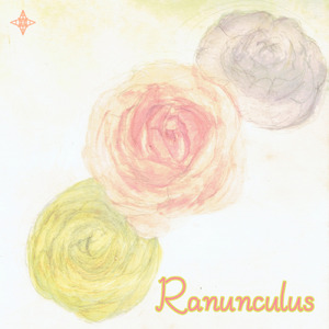 Ranunculus (feat. Ci flower & 知声)