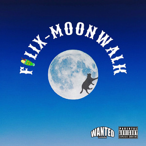 Moonwalk