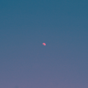 But There's Still The Moon