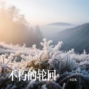 不朽的轮回