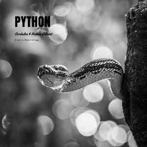 Java (Original Mix)