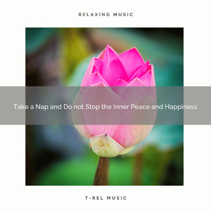 Take a Nap and Feel the Power and Joy