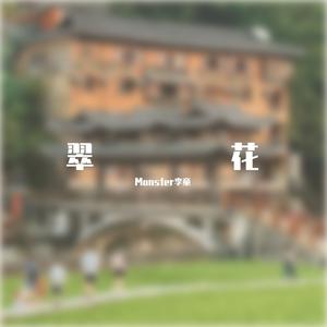 DP龙猪-翠花（DJVIK&Monster Remix）