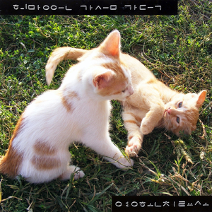 오늘은 떠나가네