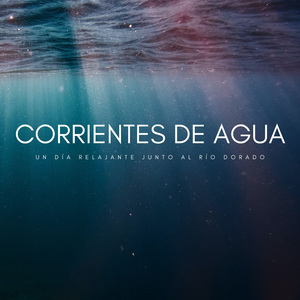 Concéntrese En Su Lectura