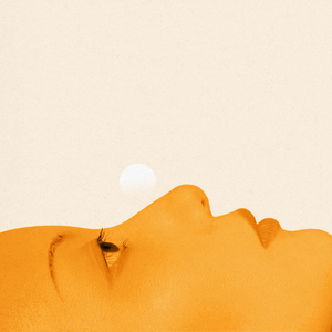 Where's my cat though?