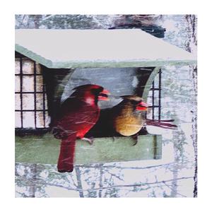 Entering The Neverending Phase