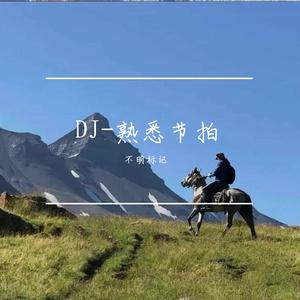 DJ-熟悉节拍